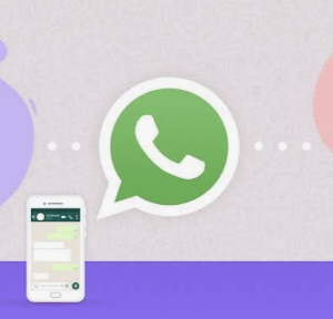 Pack seguimiento por whatsapp (4 semanas)